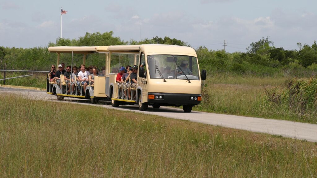 Shark Valley Tram Tour: Explore the Heart of the Everglades 🐊🚋🌿